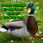 Buku Mimpi Erek Erek Bebek 2D 3D 4D dan Kode Alam