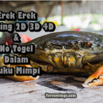 Erek Erek Kepiting 2D 3D 4D Beserta No Togel Dalam Buku Mimpi